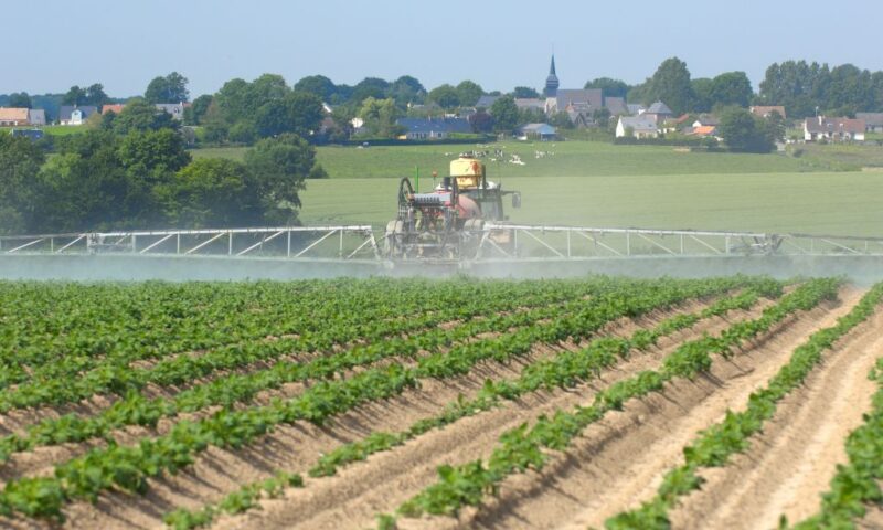 EU countries mull scaling back unlimited pesticide approvals