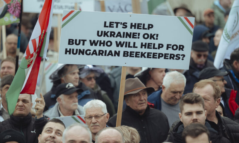 Hungary revives Ukraine food ban after accidental lapse
