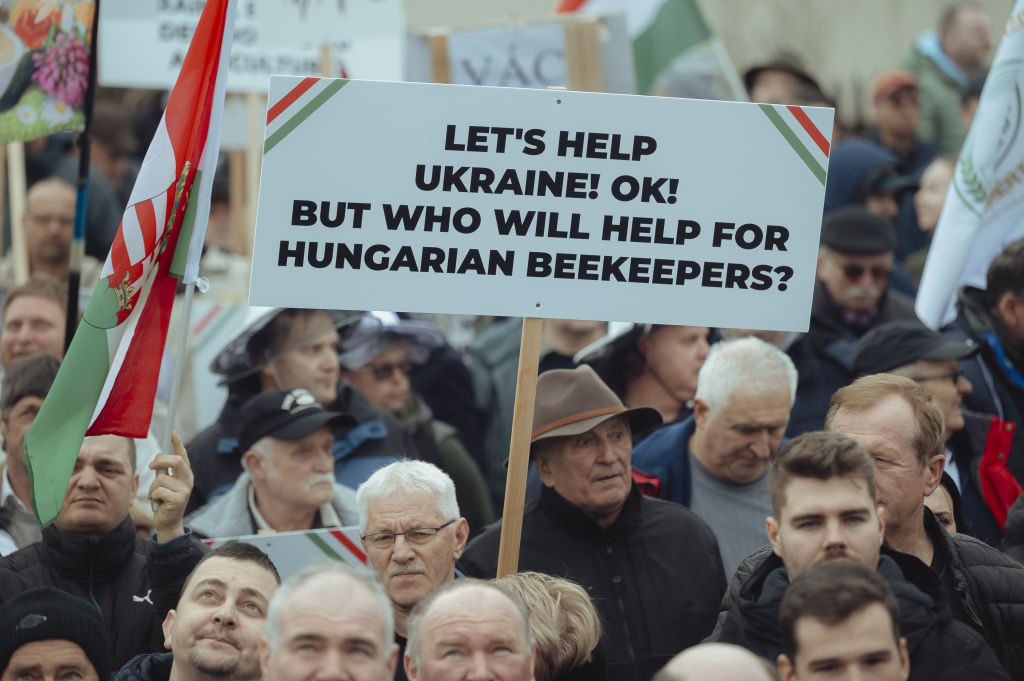 Hungary revives Ukraine food ban after accidental lapse