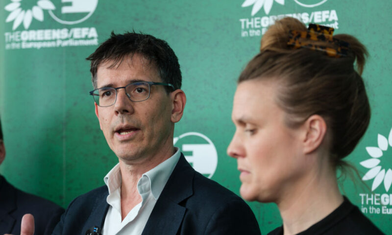 Top Green MEP quits Brussels