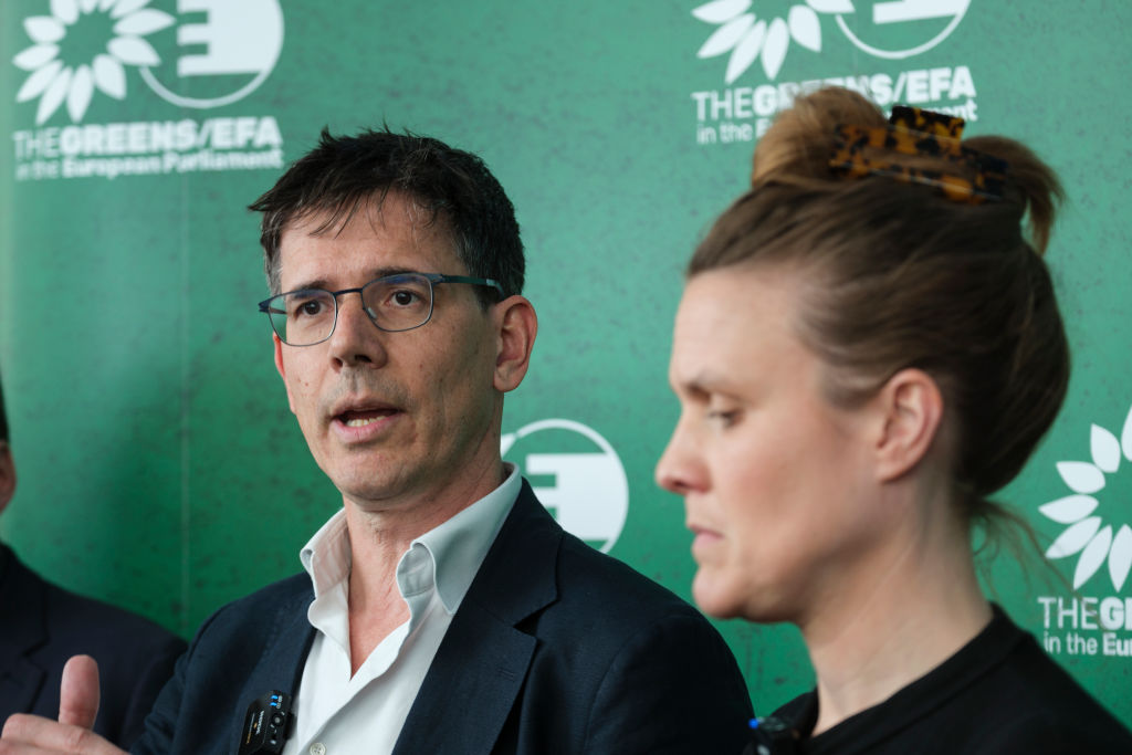 Top Green MEP quits Brussels