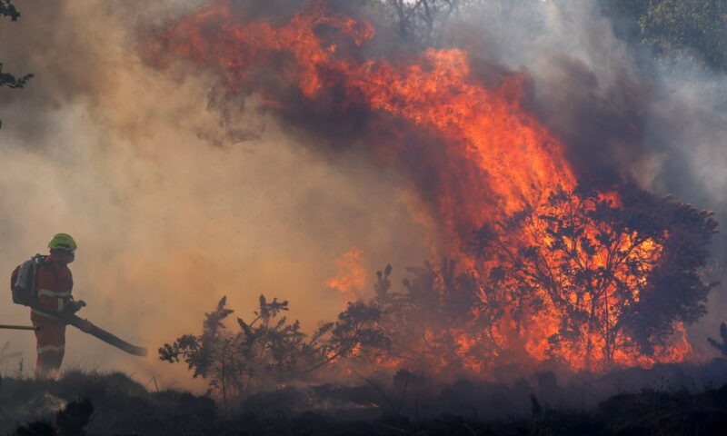UK unprepared for wildfires almost a year on from Scotland’s ‘megafire’