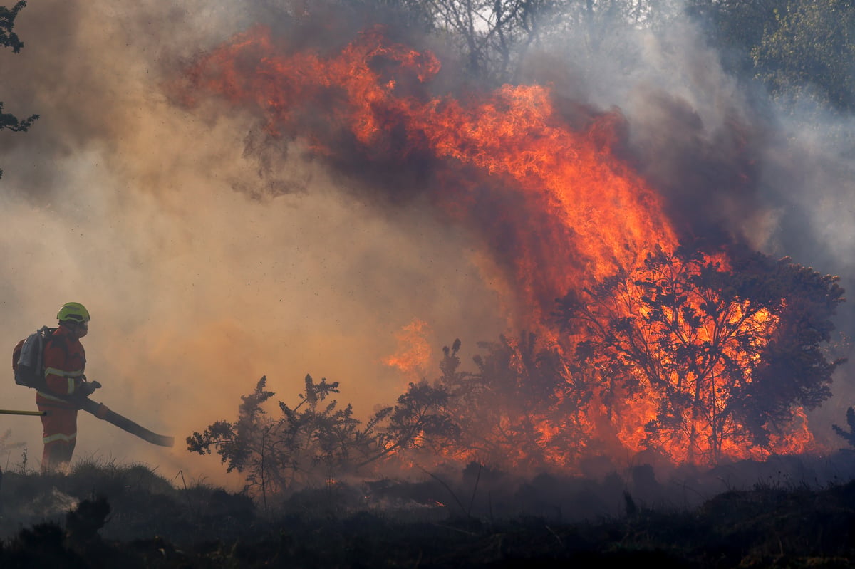 UK unprepared for wildfires almost a year on from Scotland’s ‘megafire’