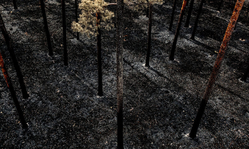 Wildfire season arrives again: Is Europe ready this time?