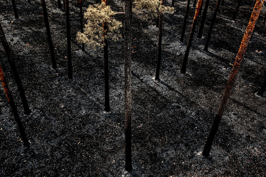Wildfire season arrives again: Is Europe ready this time?