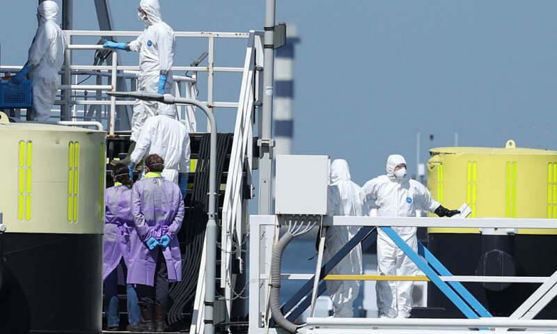 MEPs clash over EU hantavirus response in Covid déjà-vu