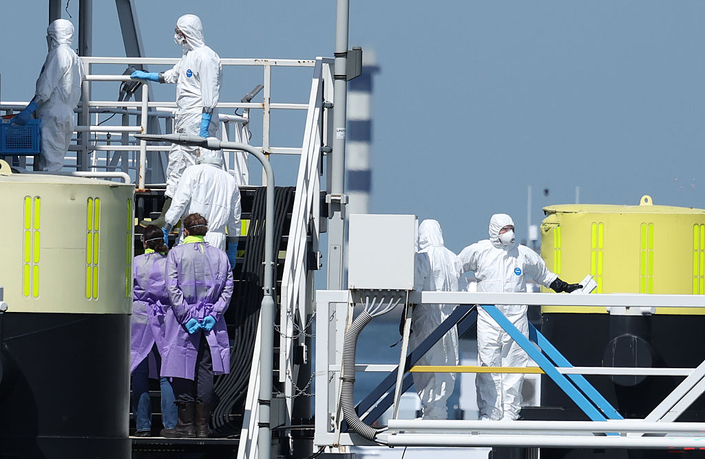 MEPs clash over EU hantavirus response in Covid déjà-vu