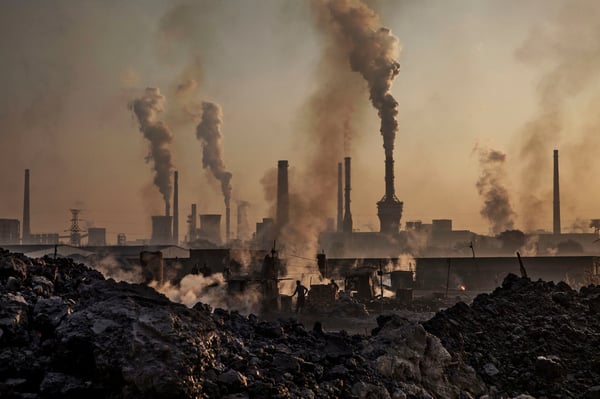 The 15 most consequential things humans did to nature by accident