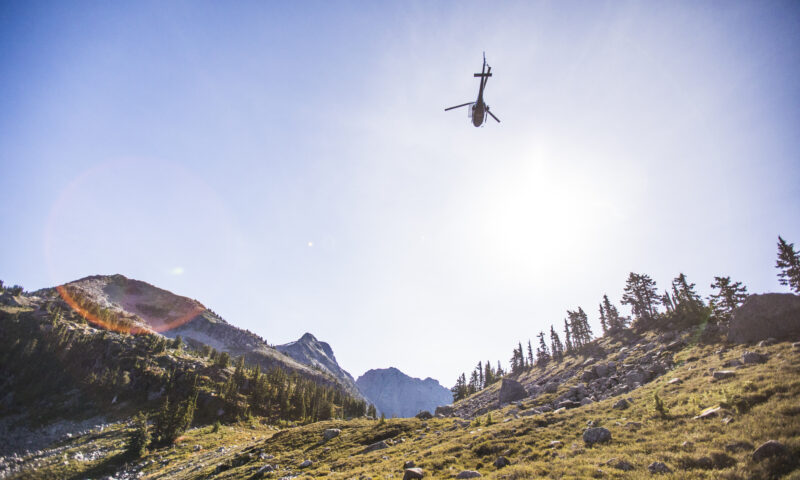 Pilot was distracted by phone when fatal B.C. helicopter accident occurred: TSB