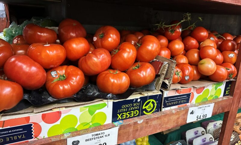 Trump’s trade wars turn tomatoes into luxury items with some stores selling a box for $93