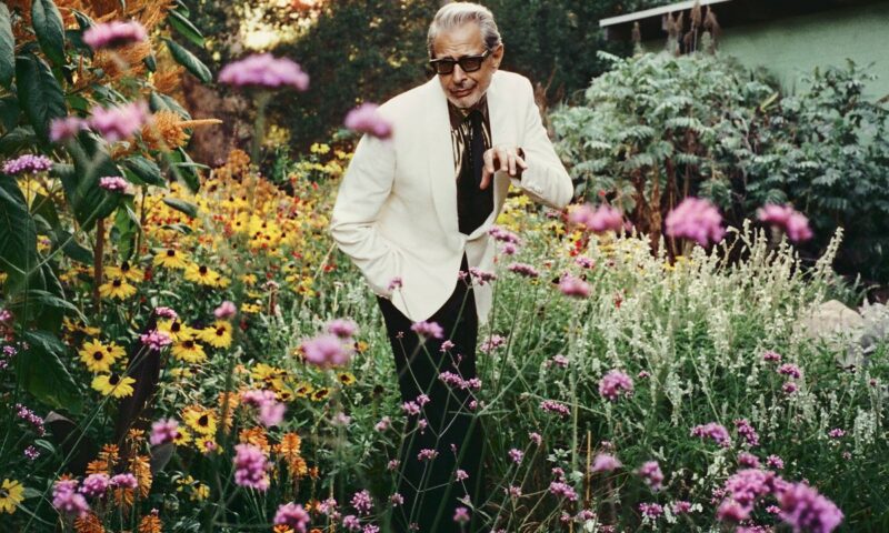 Jeff Goldblum to make first visit to Scotland: “it’s definitely been on my bucket list”