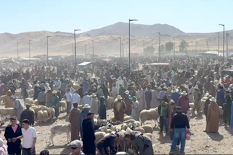 الأضاحي بسوق “جمعة المعدن الأصفر”