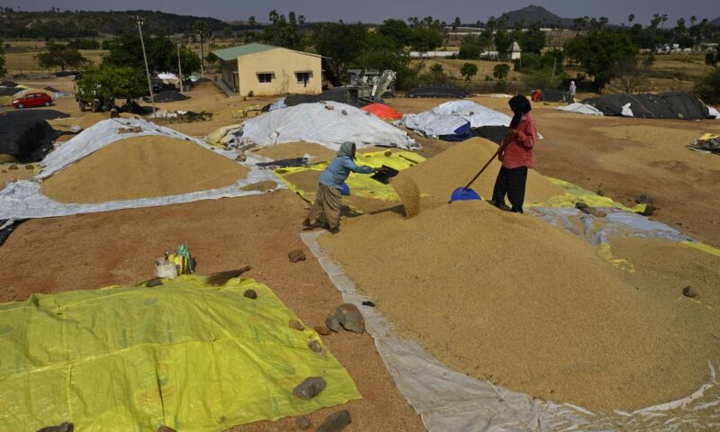 Telangana nears record rabi paddy procurement, government buys 50 LMT from farmers as on May 23