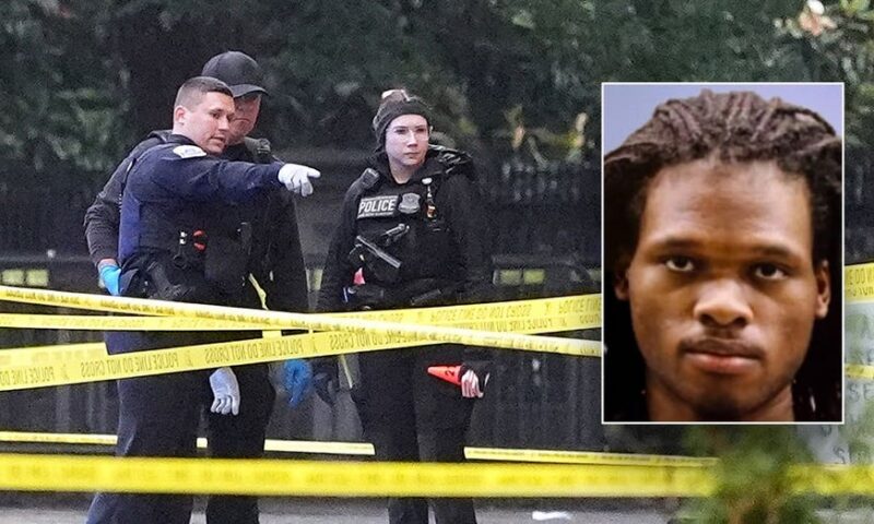 White House gunman had criminal record, history of mental health issues