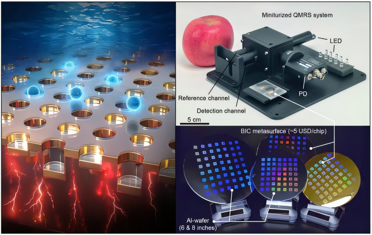 Chinese scientists build hand-held device to detect early cancer signs from drop of blood