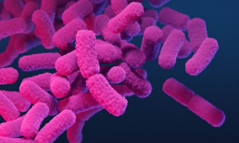 Climate change linked with rise in antibiotic resistance genes in salmonella: analysis