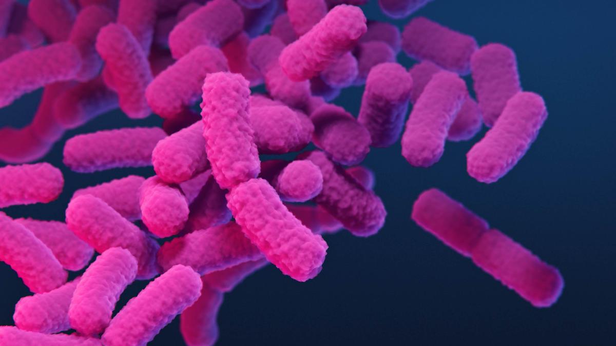 Climate change linked with rise in antibiotic resistance genes in salmonella: analysis