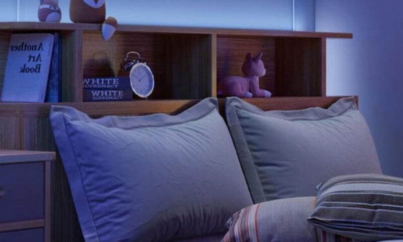 Smart light company Govee apologizes for “white supremacy” marketing imagery