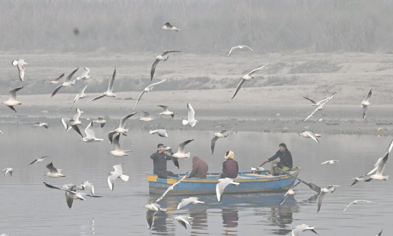 Supreme Court constitutes panel under Home Secretary to draw up action plan to clean Yamuna