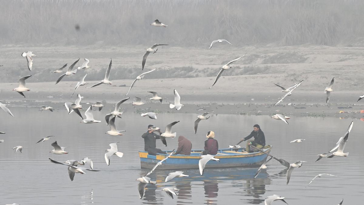 Supreme Court constitutes panel under Home Secretary to draw up action plan to clean Yamuna