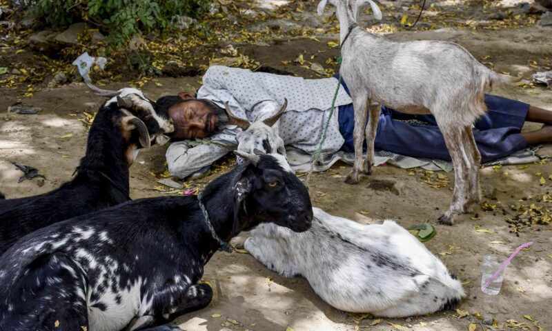 CM directs heightened vigilance during Eid-ul-Azha; reviews security in sensitive U.P. districts
