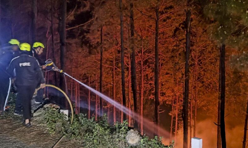 Uttarakhand recorded 375 forest fires in past three months; Chamoli worst hit