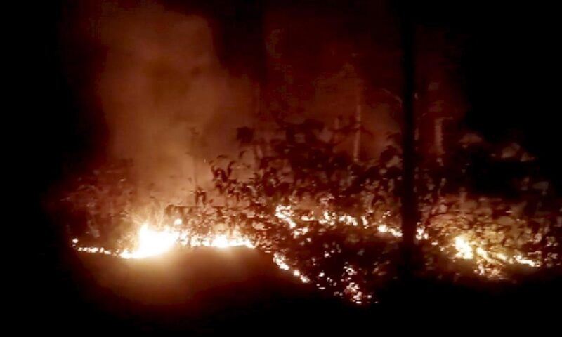 Indian Army, IAF contain major forest fire in Himachal’s Kasauli slopes