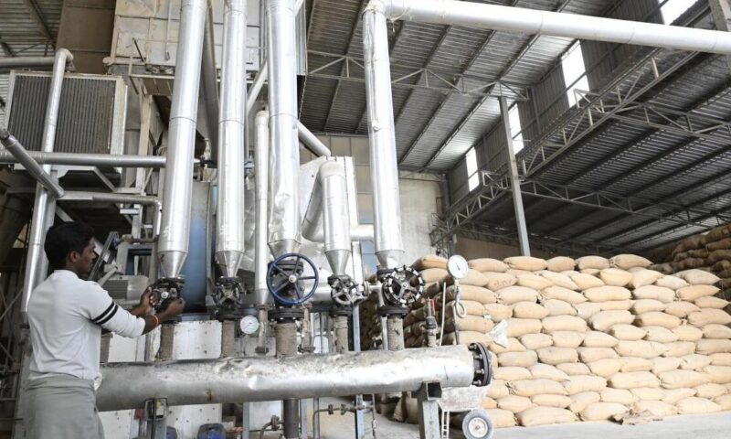 Fuel price hike: rice and oil producers in Kangayam are on a wait-and-watch mode