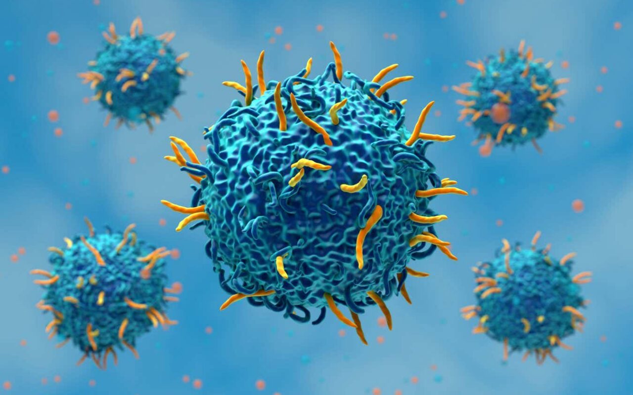 3D-printed lymph nodes could widen access to CAR T-cell therapy