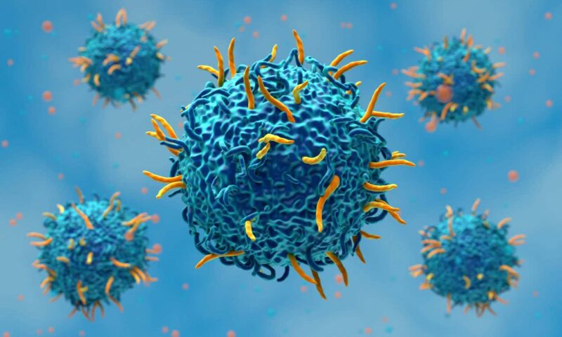 3D-printed lymph nodes could widen access to CAR T-cell therapy