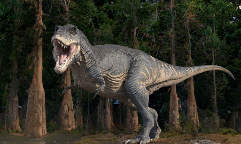 We may finally know why dinosaurs like T. rex evolved tiny arms