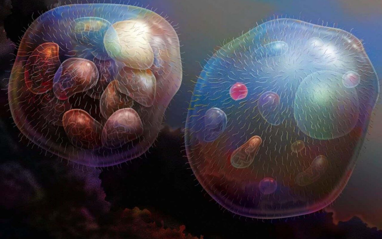Capitalism has warped our understanding of ecology and life’s origins
