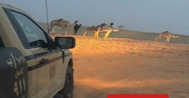 ضبط مواطن مخالف لارتكابه مخالفة رعي في محمية الإمام عبدالعزيز بن محمد الملكية