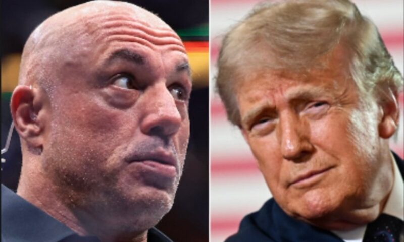 Joe Rogan mocks Trump’s DOJ for blocking IRS audits of president and his family: ‘That is so crazy’