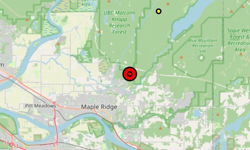 Wildfire sparks overnight response in B.C Maple Ridge forest