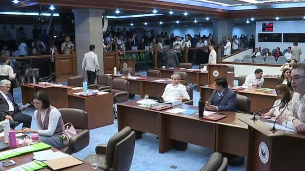 Senate minority walks out over rule allowing online vote