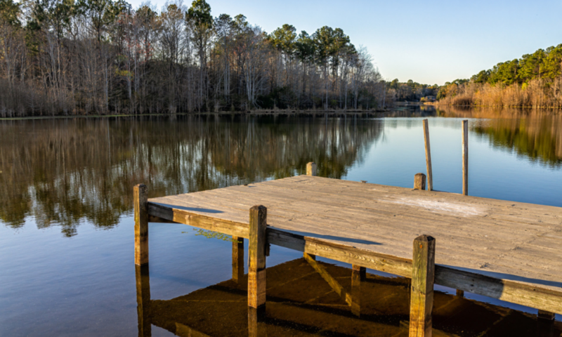 Loose umbrella fatally strikes woman at lakeside restaurant in South Carolina over Memorial Day