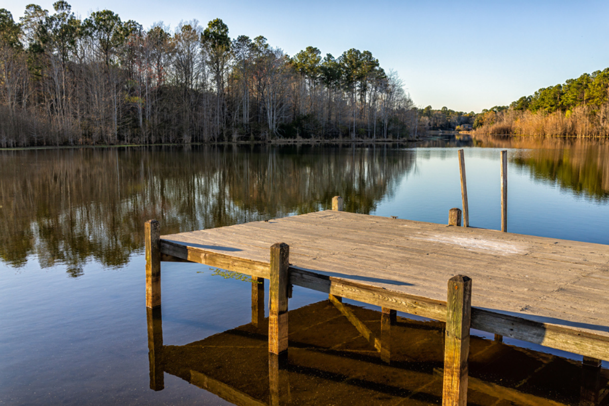 Loose umbrella fatally strikes woman at lakeside restaurant in South Carolina over Memorial Day