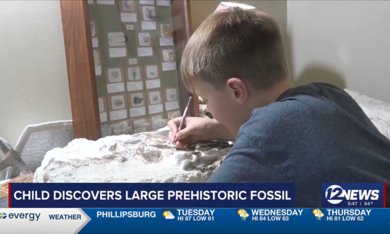Boy, 12, finds 80-million-year-old fossil on a 4H trip and plans to display it at the county fair