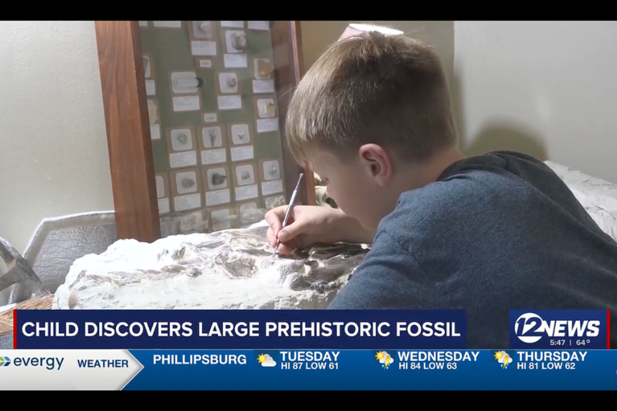 Boy, 12, finds 80-million-year-old fossil on a 4H trip and plans to display it at the county fair