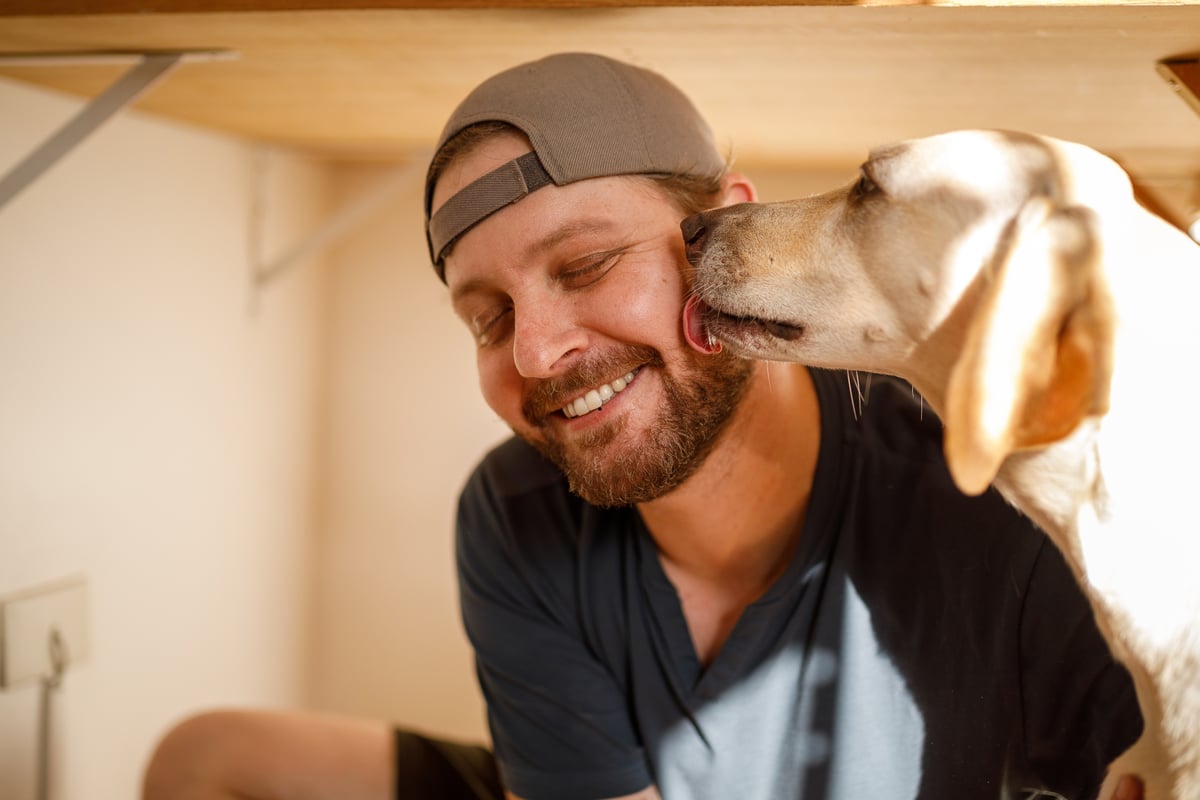 Sociable Dogs 2026: Here are the 12 breeds of adorable dog that tend to get on well with everyone – including the loving Labrador 🐶