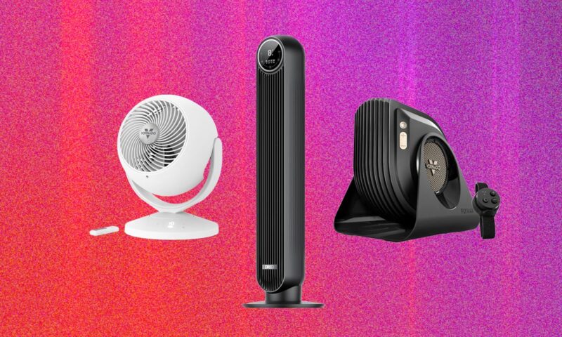 The 13 Best Fans to Buy Before It Gets Hot Again (2026)