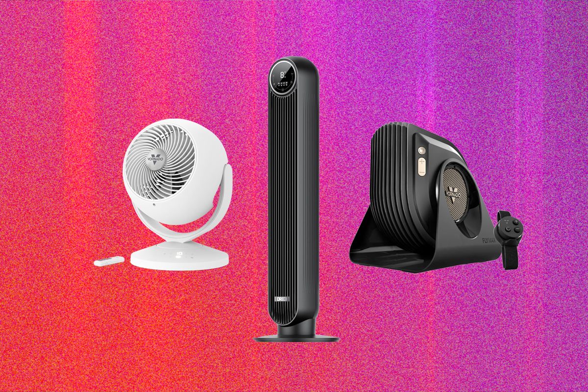 The 13 Best Fans to Buy Before It Gets Hot Again (2026)