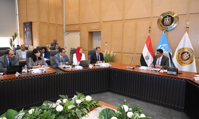 Egypt, UNIDO review industrial partnership to accelerate green manufacturing, boost exports