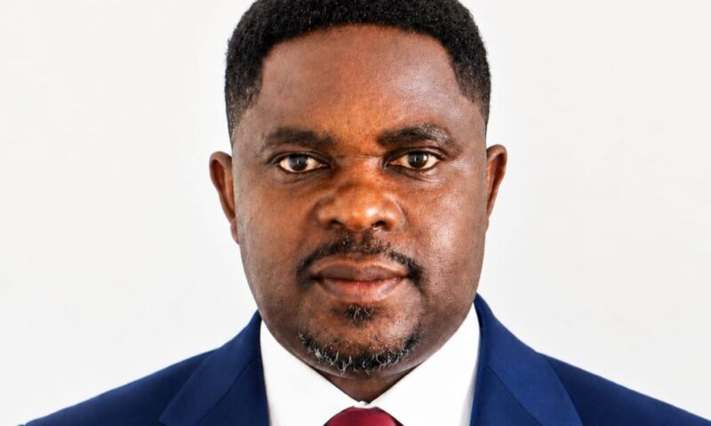 Focus on governance, not intimidation — NPP Germany tells NDC government