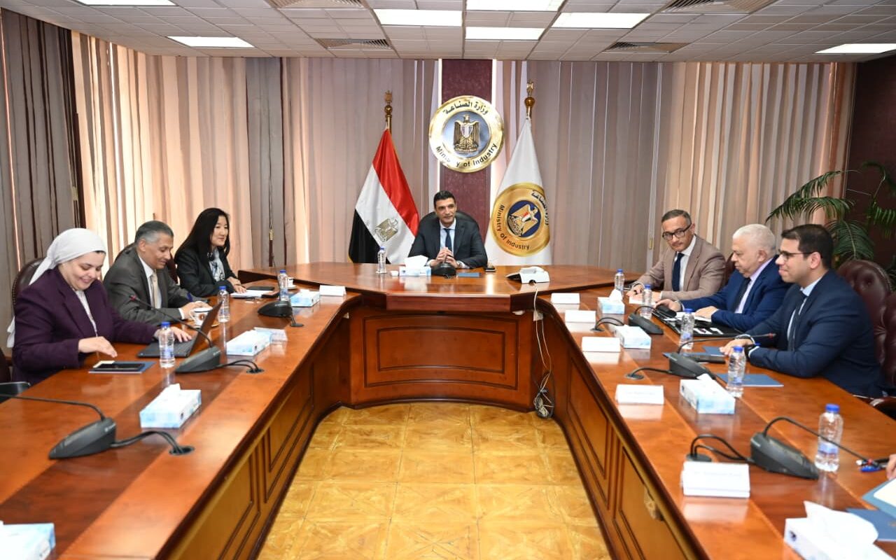 Egypt, UNDP discuss expanding green industry cooperation as solar initiative targets 1,000 MW for factories
