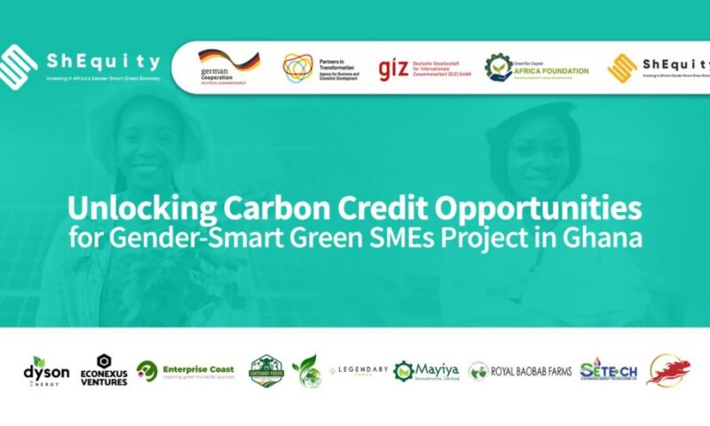 ShEquity unveils final 10 SMEs for its gender-smart climate technical assistance facility