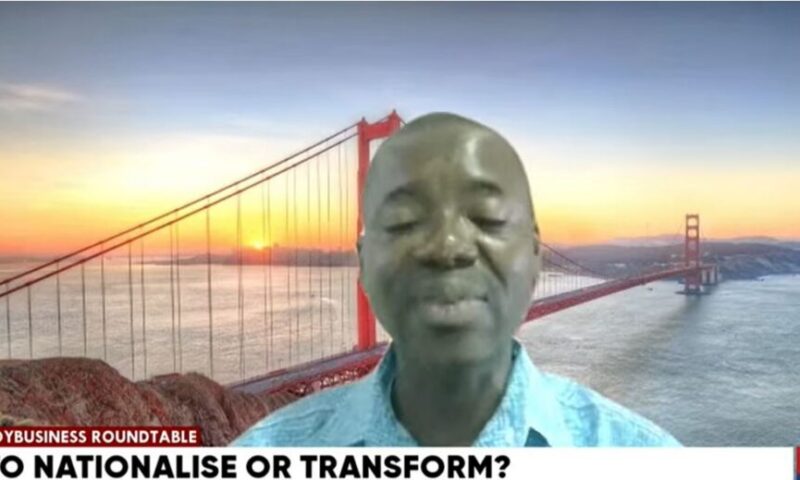 Nationalising mines will not automatically increase state revenue — Mineral Economist