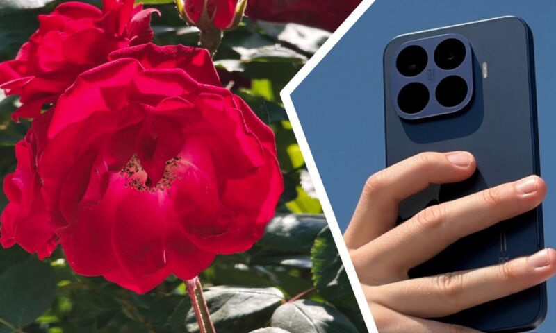 ‘Nothing in its class comes close’: the Xiaomi 17T Pro is being called ‘the telephoto master’, but how does its 5x zoom perform in reality? I took over 500 photos to find out