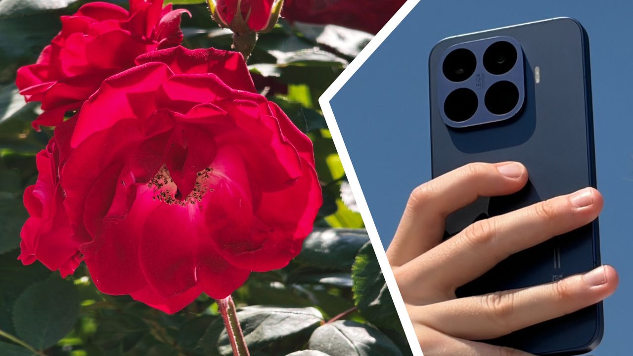 ‘Nothing in its class comes close’: the Xiaomi 17T Pro is being called ‘the telephoto master’, but how does its 5x zoom perform in reality? I took over 500 photos to find out